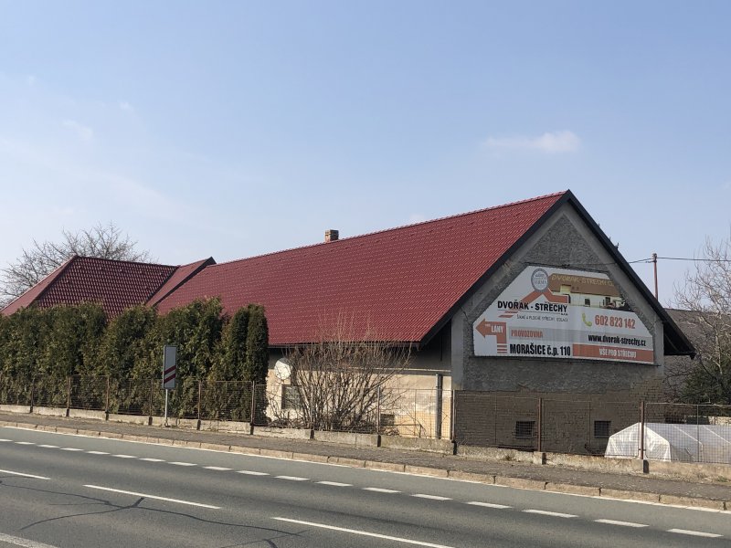 V březnu se na pár dnů ukázalo jaro v plné síle